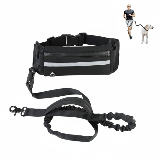 Hands-free dog running leash with waist belt pack on white background