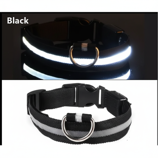 LED Light Dog Collar